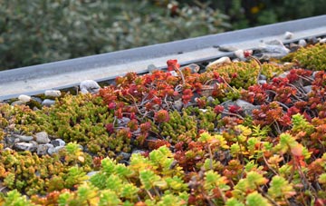 the cost of Beachley green roof installation