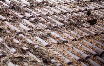 Beachley roof cleaning companies